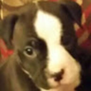 Meet your Posher, Jesse